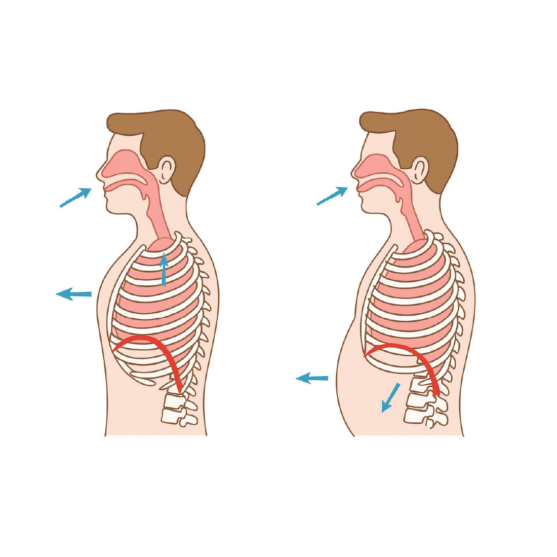 Nefes Darlığı = Azalan Dayanıklılık